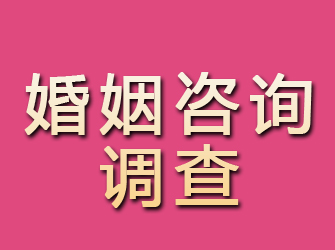 宜川婚姻咨询调查